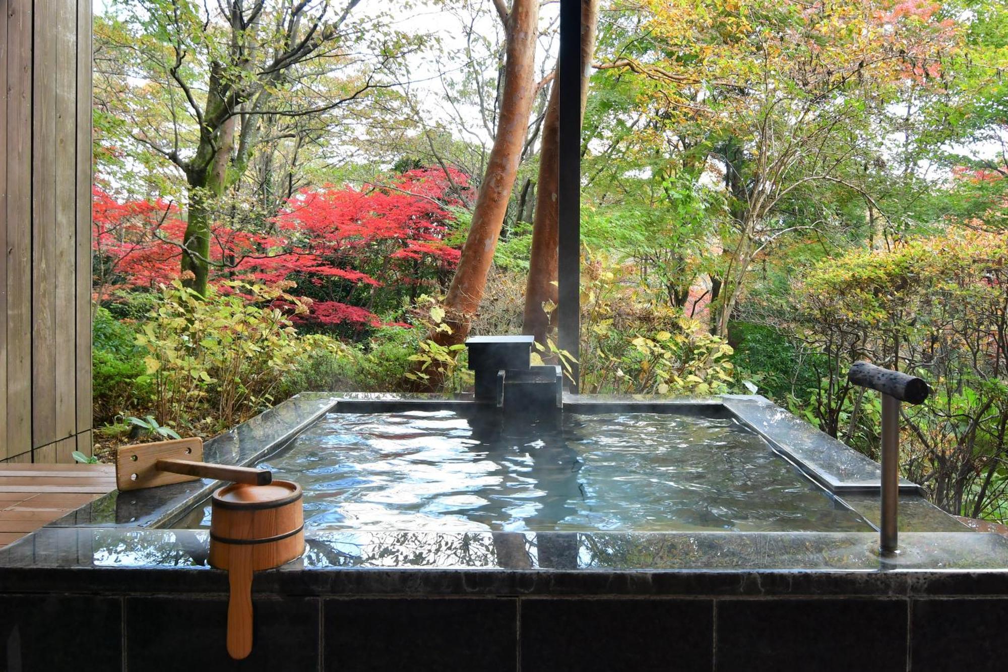 Hakone Gora Byakudan Hotel Екстериор снимка